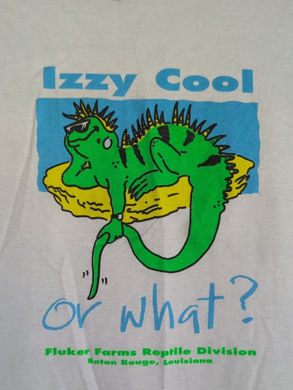 Vintage 90s 'Izzy Cool' Lizard Graphic Mens Tshirt M